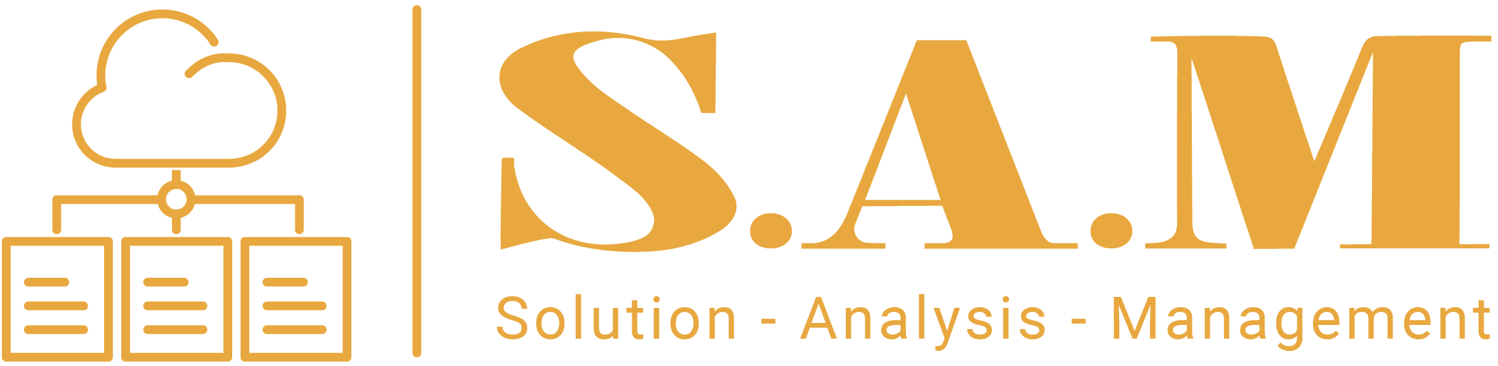 SAM  TECHNOLOGY